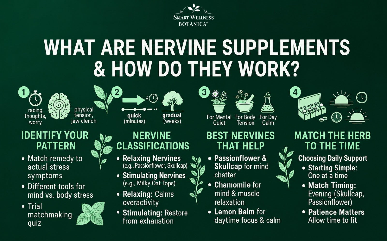 What Are Nervine Supplements And How Do They Calm The Nervous System?