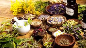 Which Herbs Help Improve Digestion And Gut Health Naturally?