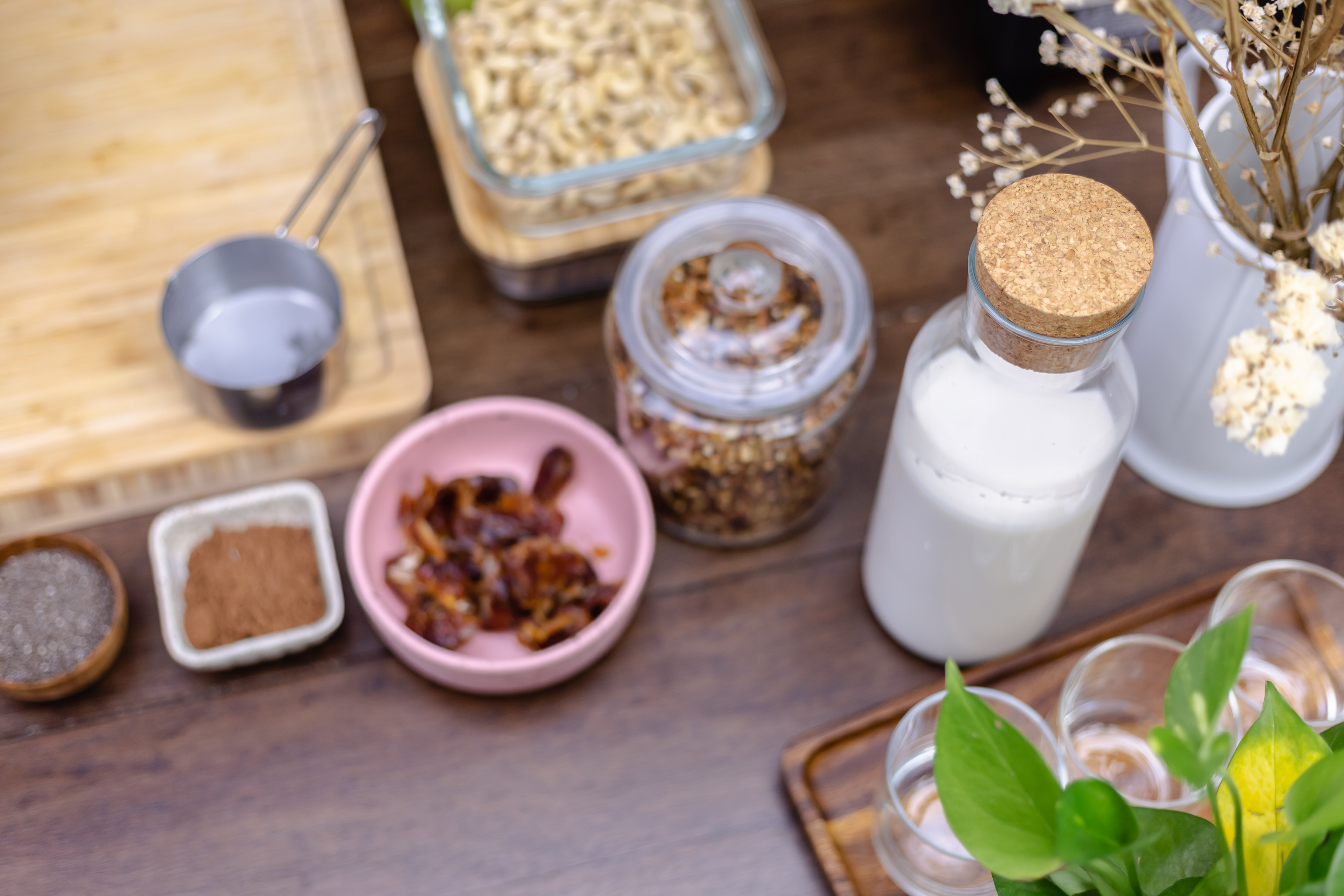 Gut Immunity Connection: How Gut Health Impacts Energy And Immunity?