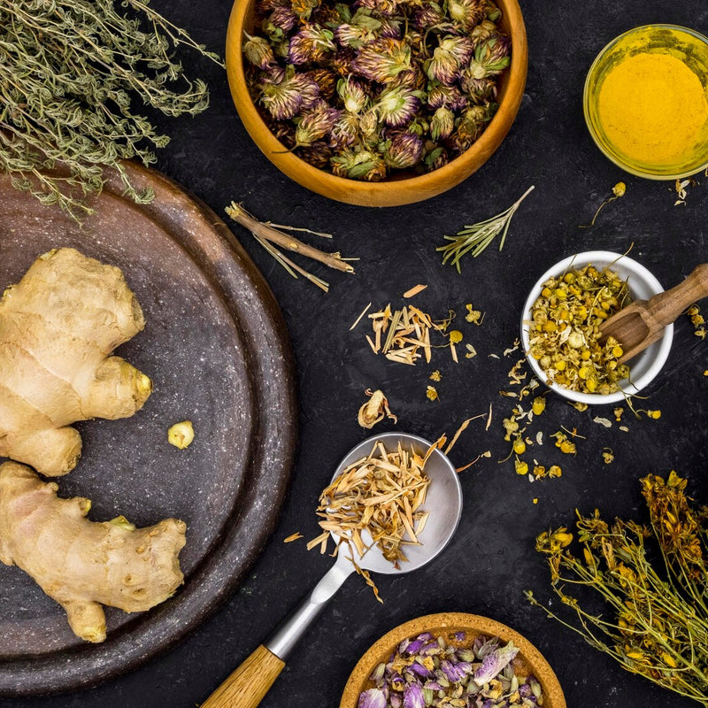 Detox Foods: Best Foods That Support The Body’s Detox Process